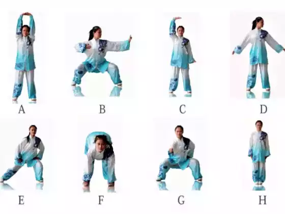 25 Minuten Qigong 8 Seidenbrokate