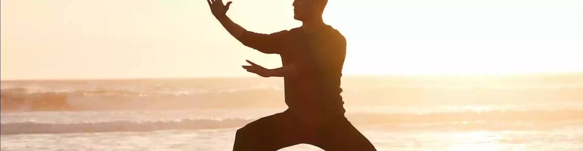 Qigong mit den 8 Brokaten - Online Class by Cassaundra Paolini
